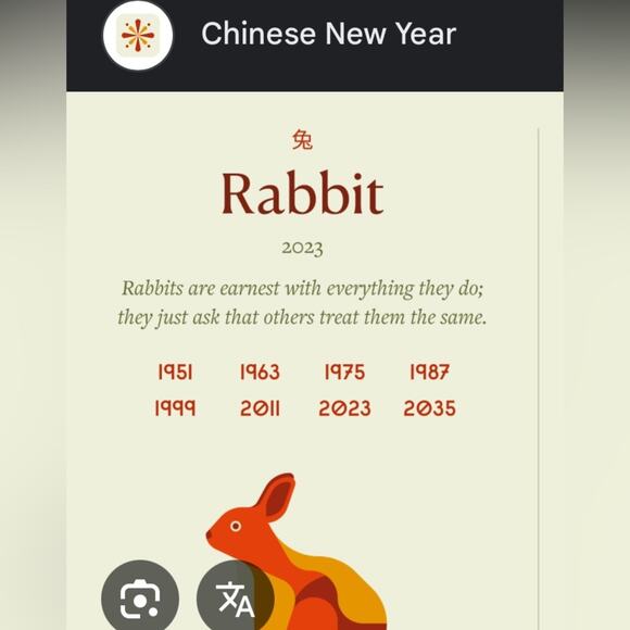 Chinese zodiac rabbit crossbody purse - Picture 10 of 10